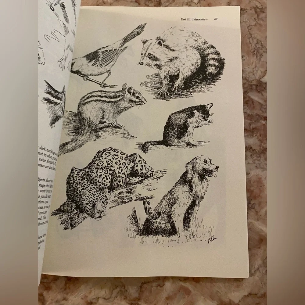 🆕 RESERVED VNTD Pen & Ink Techniques Dover Art Instruction by Frank Lohan